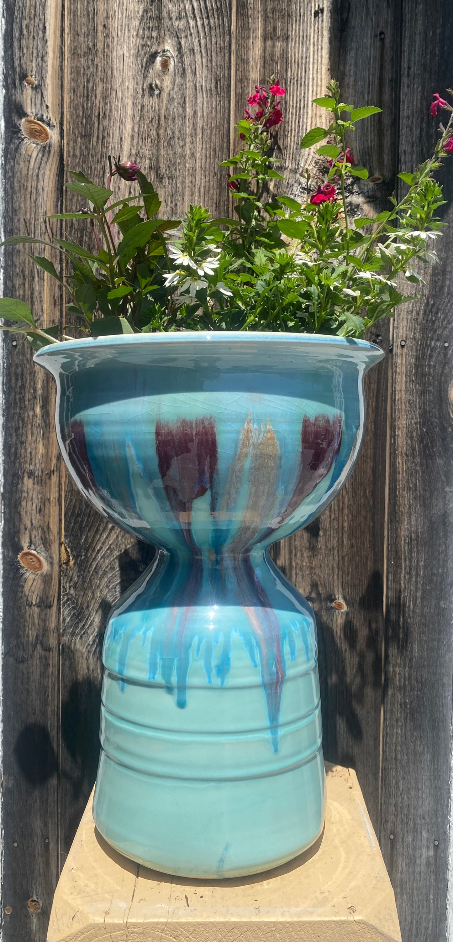 Sand Dollar Pedestal Planter - Lasser Ceramics