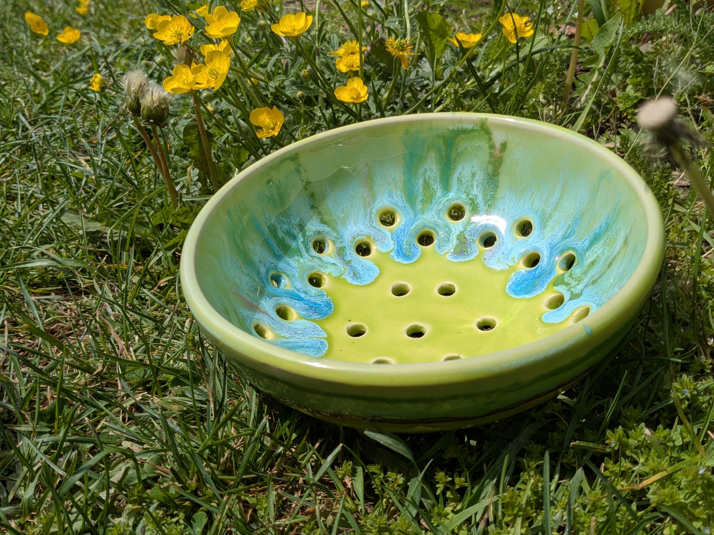 Ocean Berry Bowl