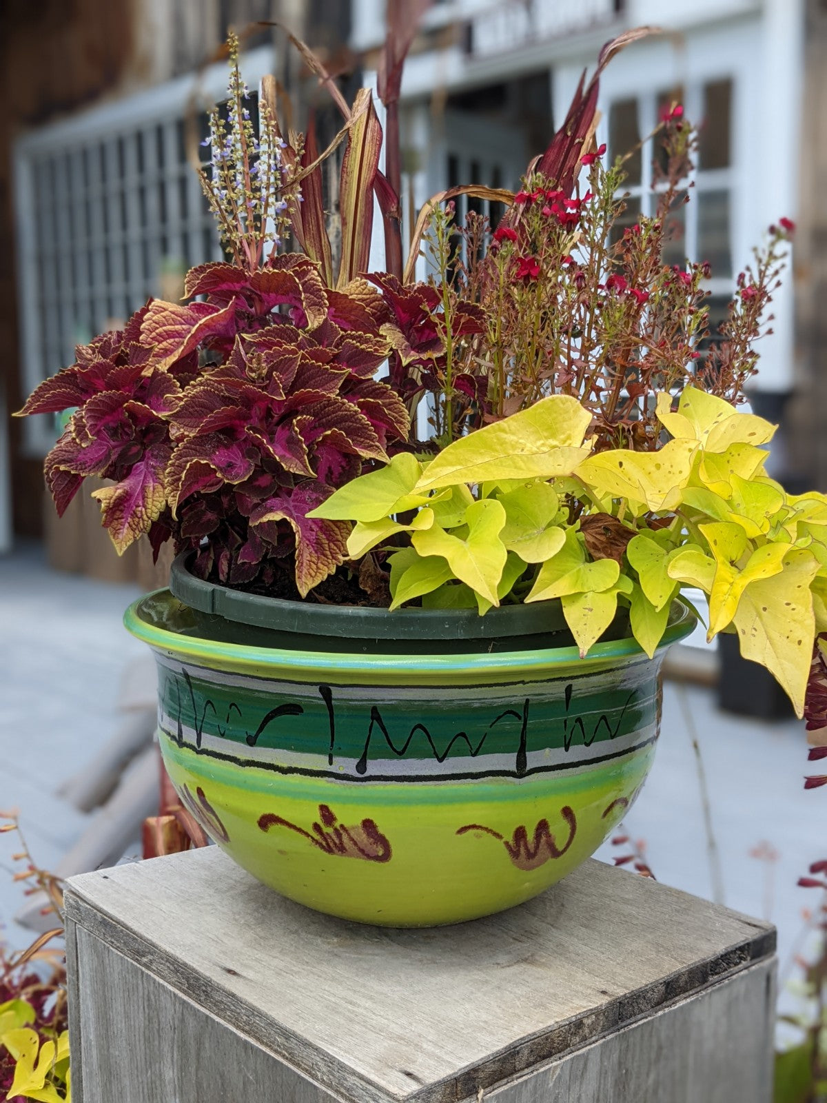 Volcano Planter