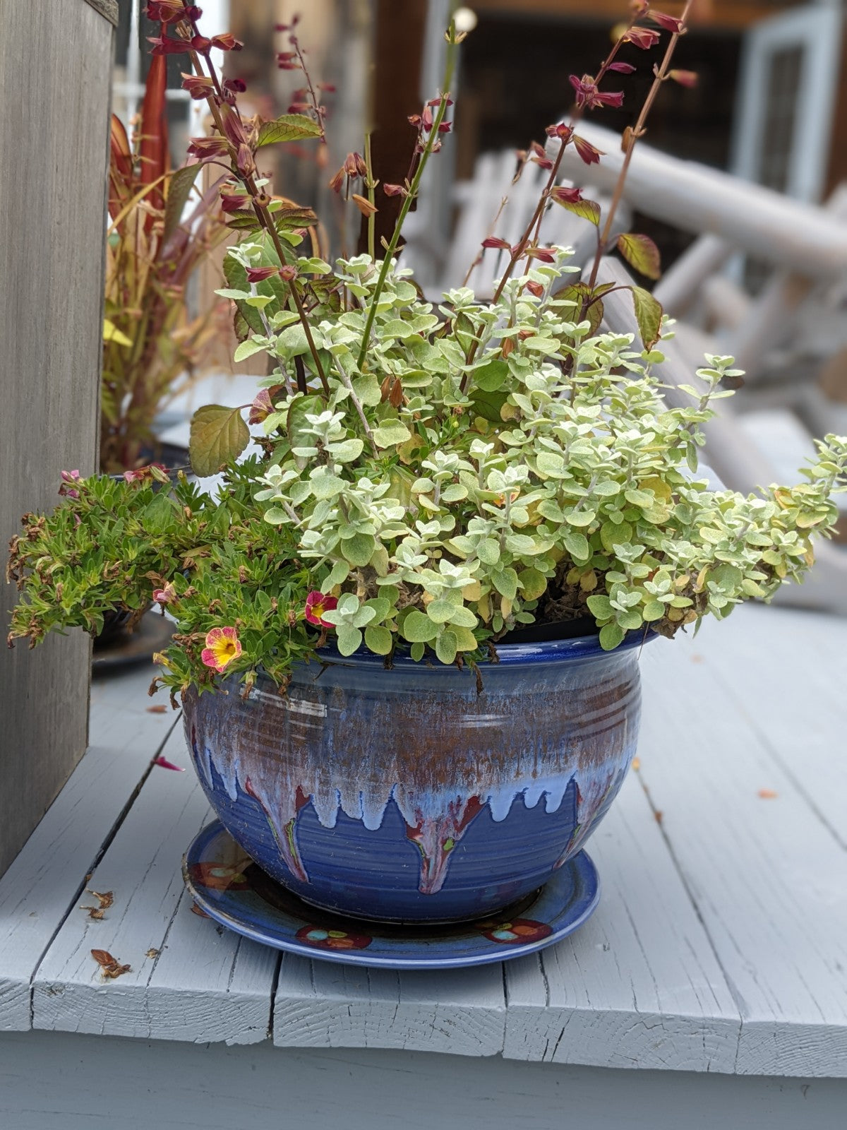 Blue Moon Planter