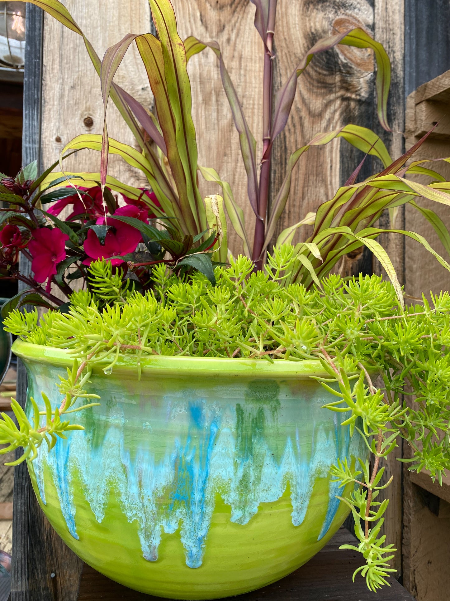 Ocean Planter - Lasser Ceramics