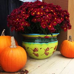 Volcano Planter - Lasser Ceramics