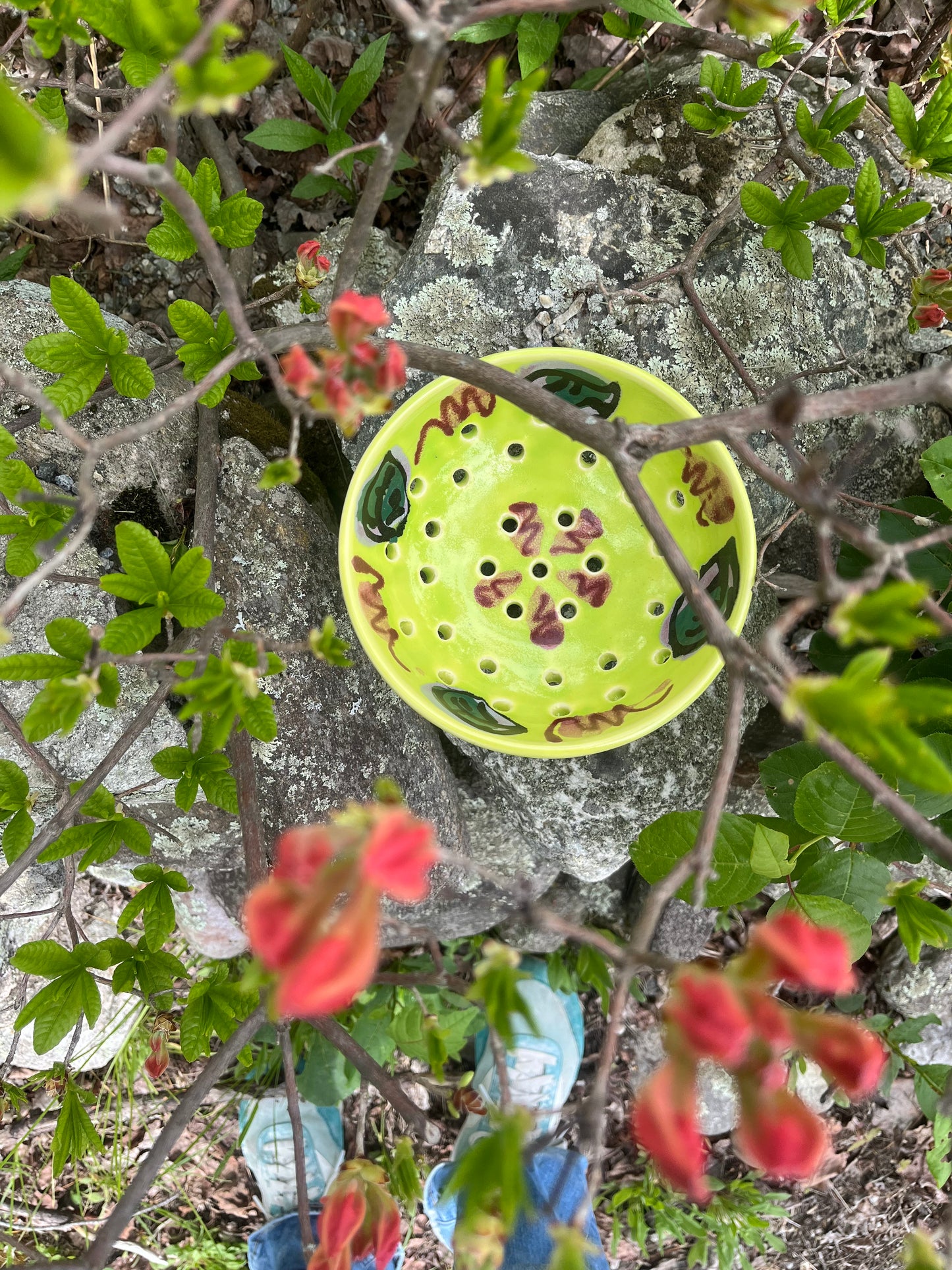 Volcano Berry Bowl