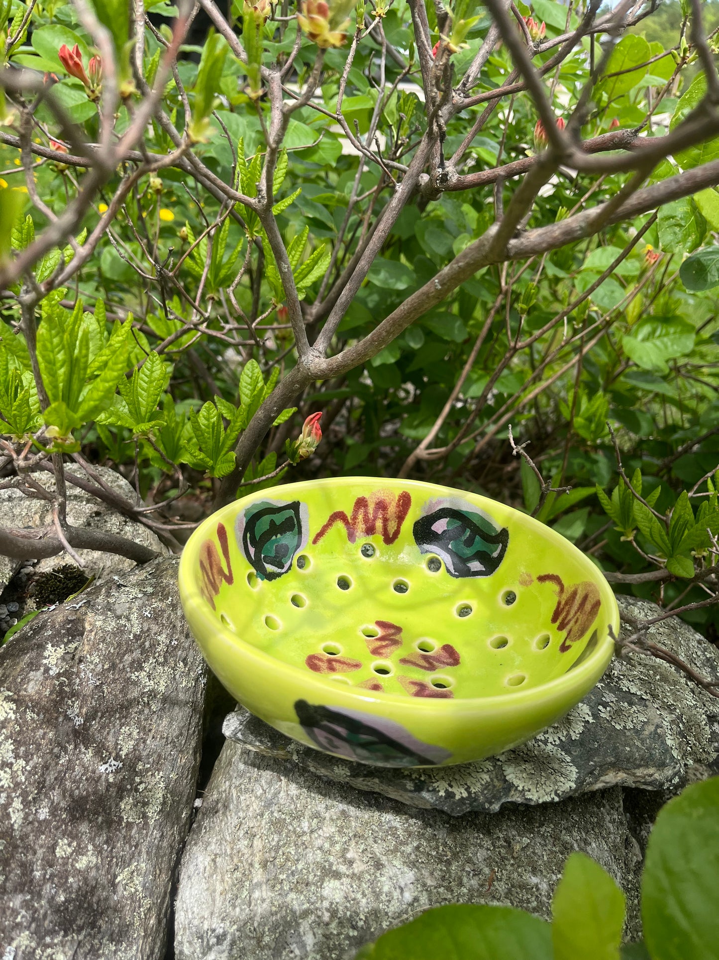 Volcano Berry Bowl