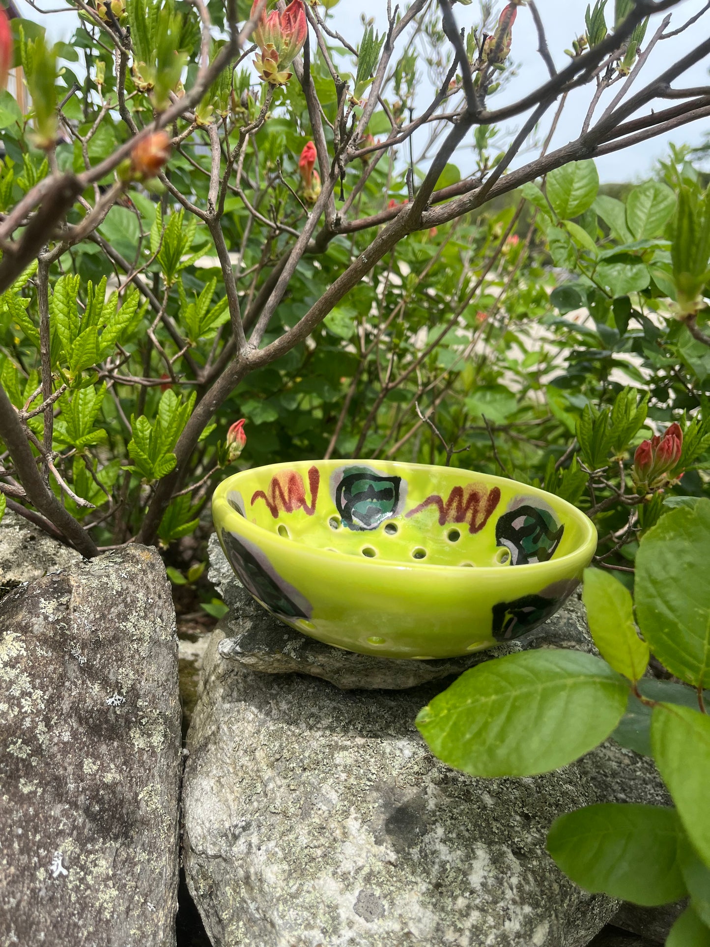 Volcano Berry Bowl