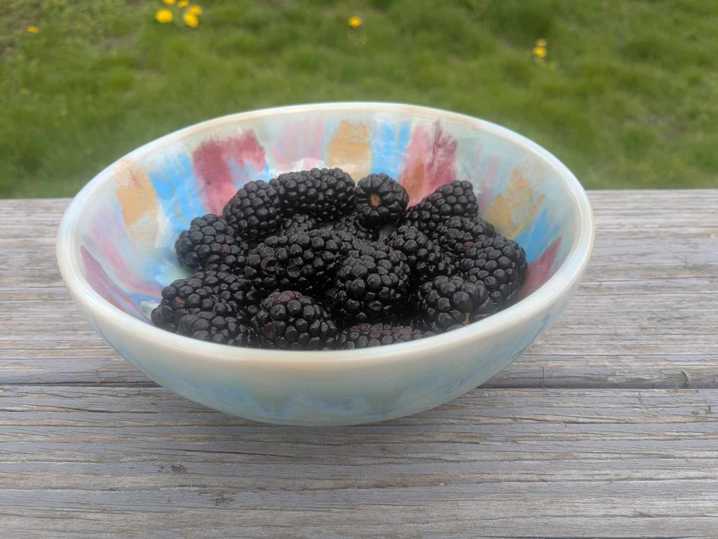 Sand Dollar Berry Bowl