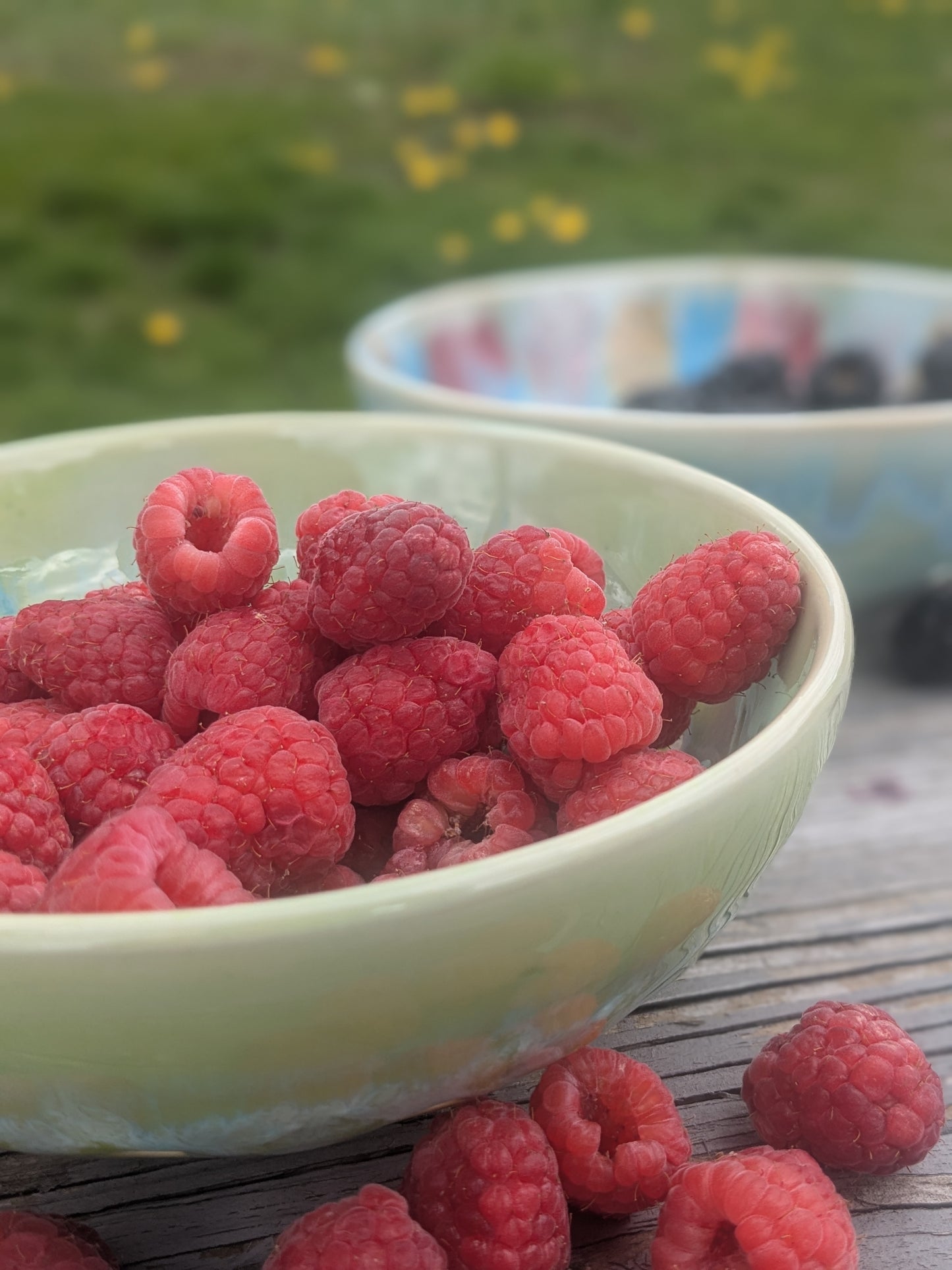Bowl of raspberries on a wooden surface with a blurred natural background