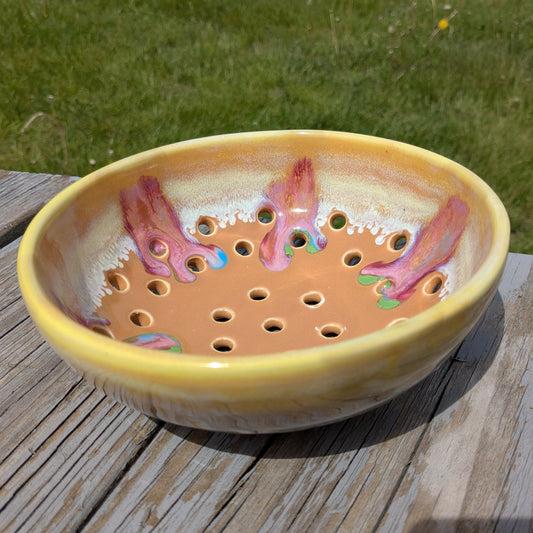 Mango Berry Bowl