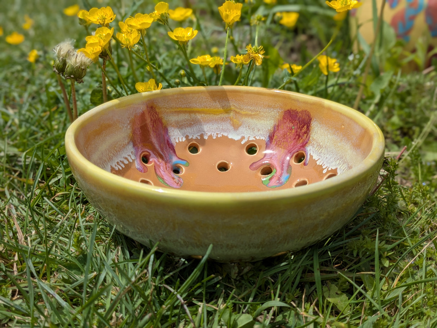 Mango Berry Bowl
