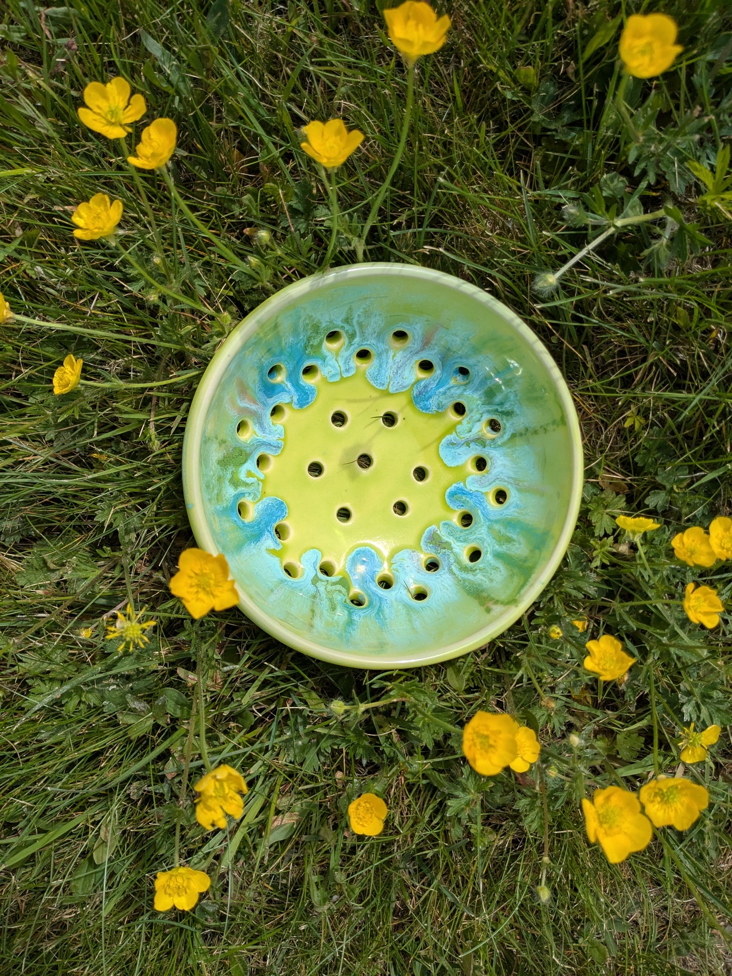 Ocean Berry Bowl
