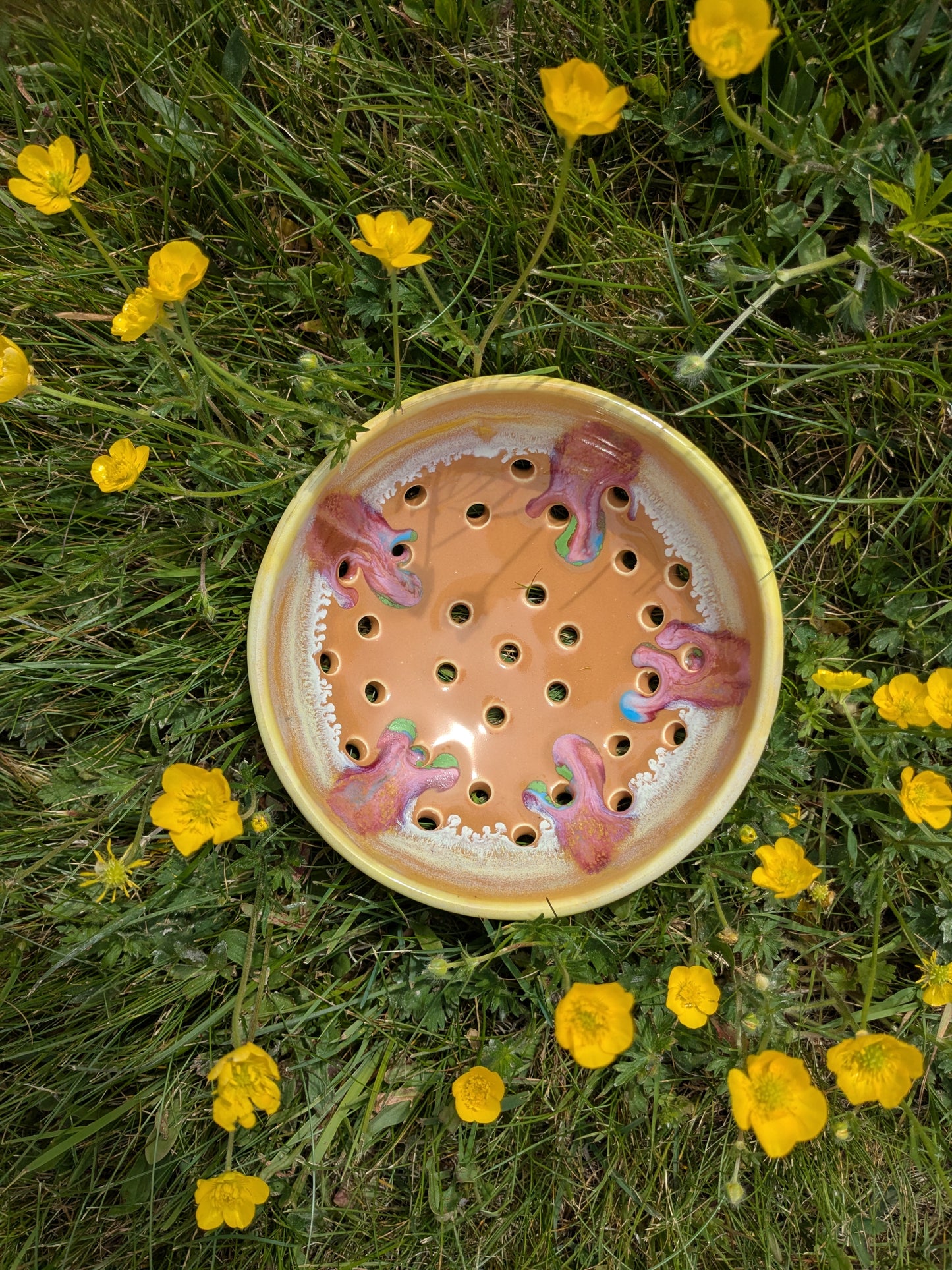Mango Berry Bowl