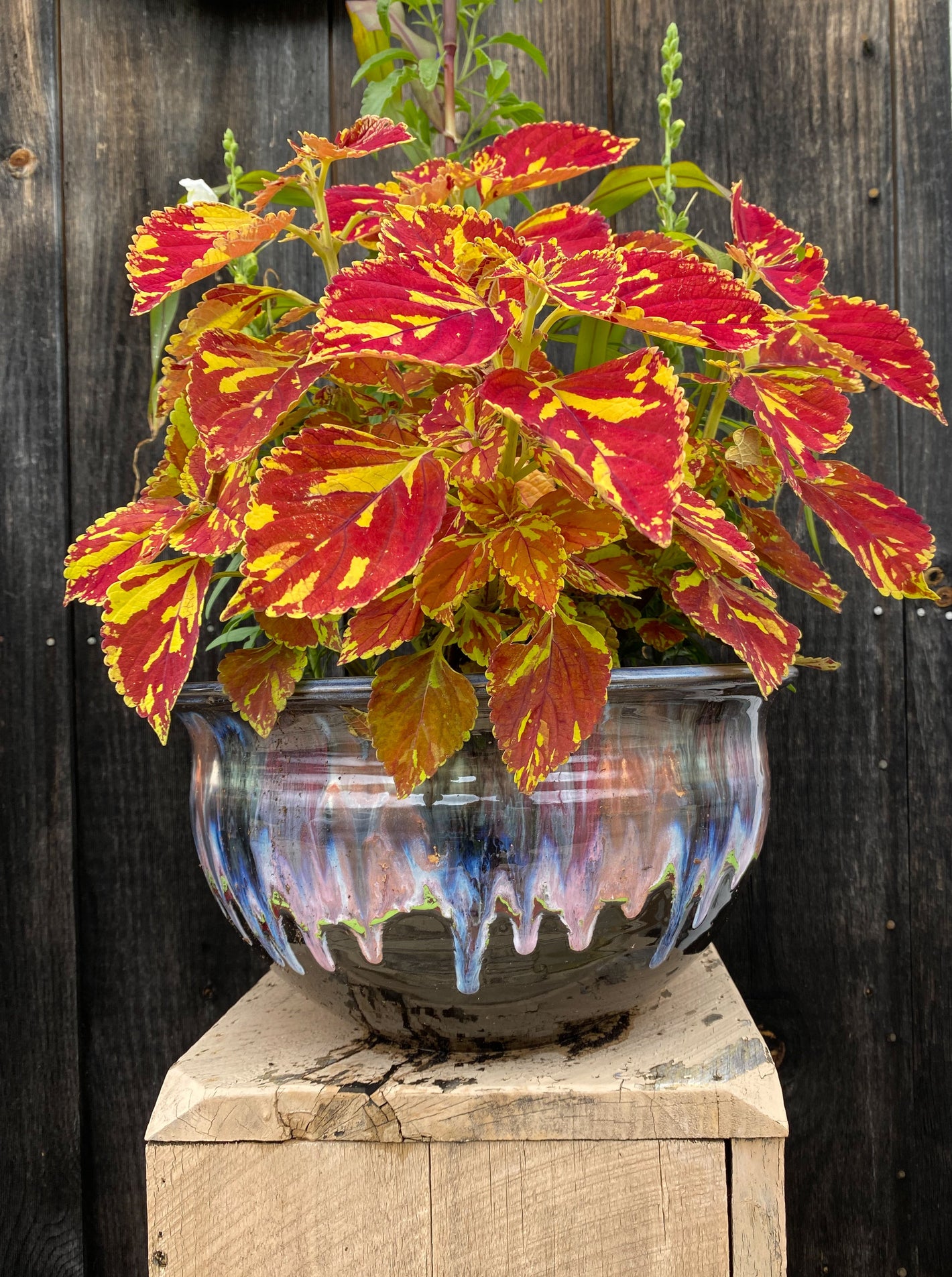 Pearl Planter - Lasser Ceramics